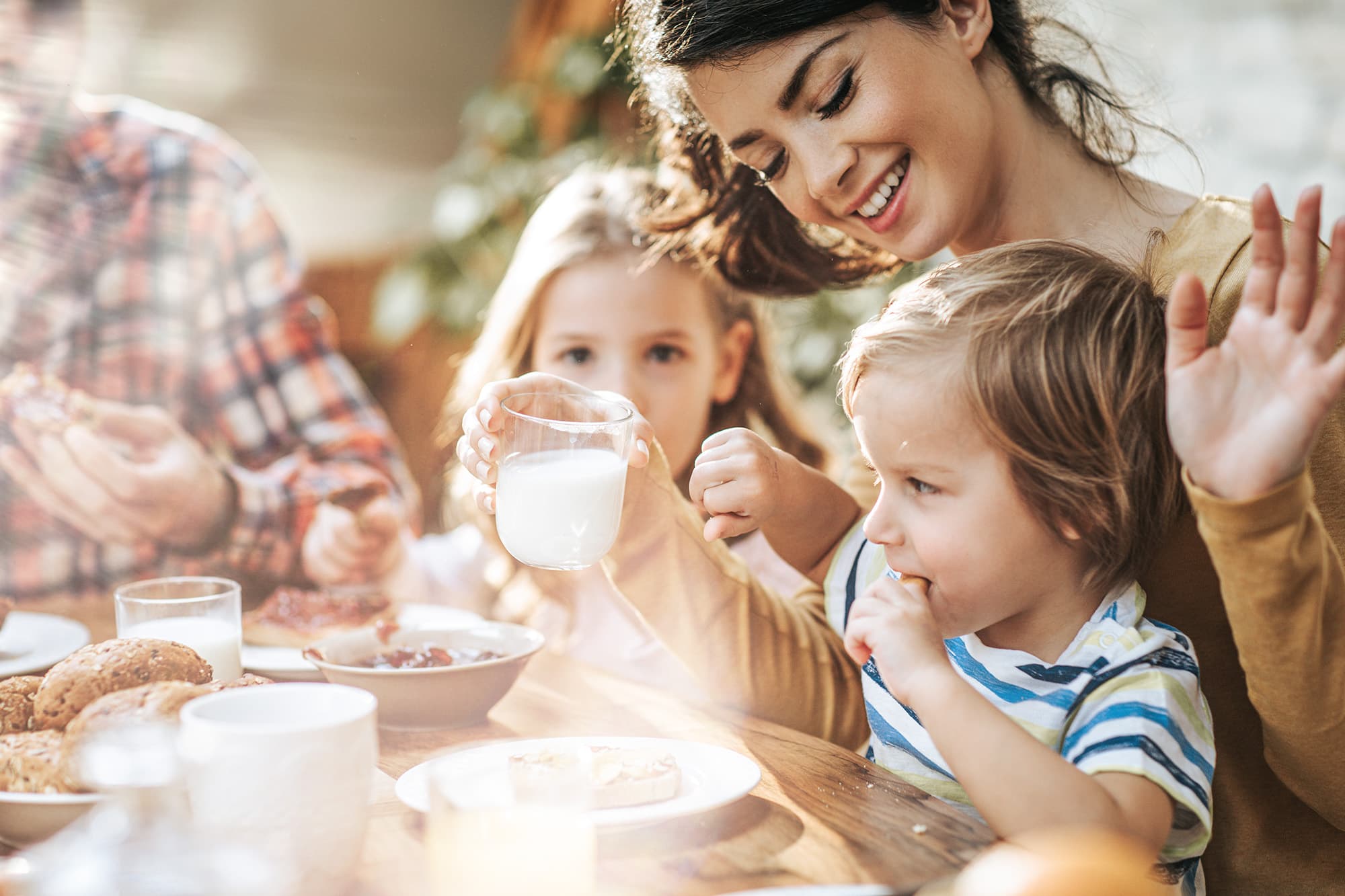 Wohngesundheit und Komfort