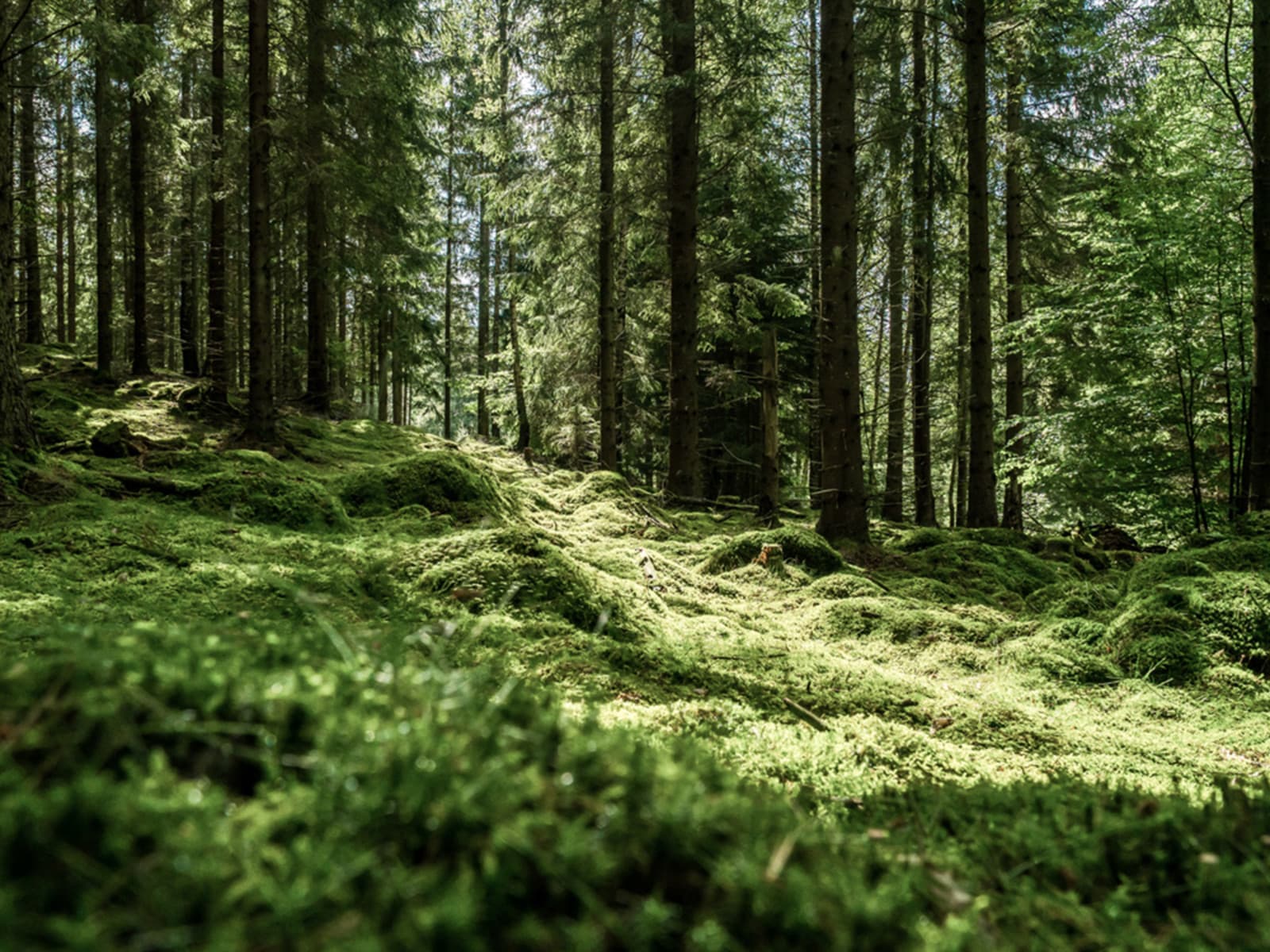 Teaser Nachhaltigkeit