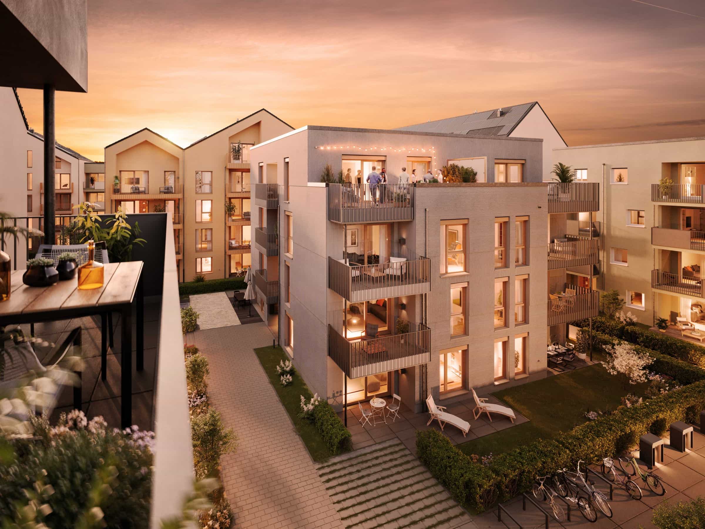 Project gallery image