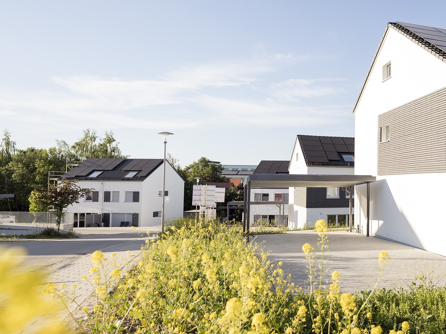 Projektansicht