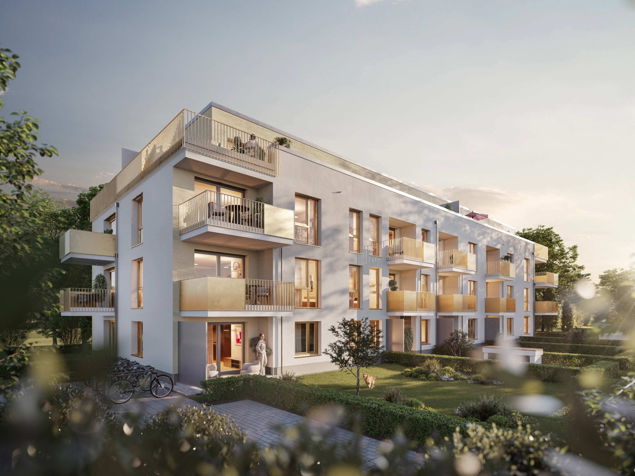 Ditzingen Golden Heights (2) (